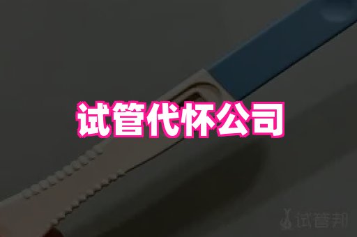 试管助孕网站 2