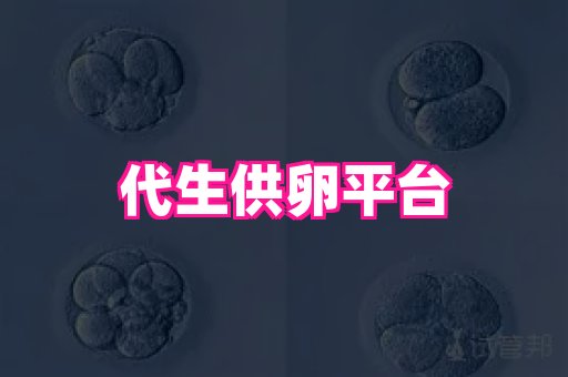 试管助孕网站 3